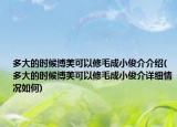 多大的時(shí)候博美可以修毛成小俊介介紹(多大的時(shí)候博美可以修毛成小俊介詳細(xì)情況如何)
