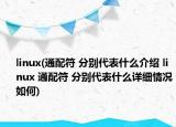 linux(通配符 分別代表什么介紹 linux 通配符 分別代表什么詳細(xì)情況如何)