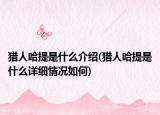 獵人哈提是什么介紹(獵人哈提是什么詳細(xì)情況如何)