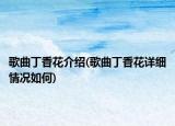 歌曲丁香花介紹(歌曲丁香花詳細(xì)情況如何)