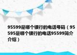 95599是哪個銀行的電話號碼（95595是哪個銀行的電話95599簡介介紹）