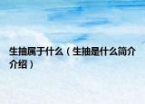 生抽屬于什么（生抽是什么簡介介紹）