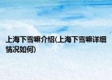 上海下雪嘛介紹(上海下雪嘛詳細情況如何)
