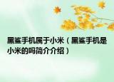 黑鯊手機(jī)屬于小米（黑鯊手機(jī)是小米的嗎簡(jiǎn)介介紹）