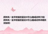 武林風(fēng)一龍平時(shí)很厲害這次怎么輸成這樣介紹(武林風(fēng)一龍平時(shí)很厲害這次怎么輸成這樣詳細(xì)情況如何)