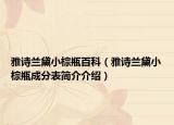 雅詩蘭黛小棕瓶百科（雅詩蘭黛小棕瓶成分表簡介介紹）