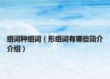 組詞種組詞（形組詞有哪些簡介介紹）