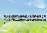 青少年如何樹立正確的人生觀價值觀（青年人怎樣樹立正確的人生價值觀簡介介紹）