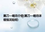 黑刀—暗月介紹(黑刀—暗月詳細(xì)情況如何)
