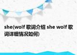 she(wolf 歌詞介紹 she wolf 歌詞詳細(xì)情況如何)