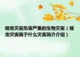 蝗蟲災(zāi)是危害嚴重的生物災(zāi)害（蝗蟲災(zāi)害屬于什么災(zāi)害簡介介紹）