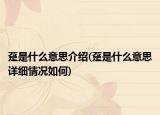 躉是什么意思介紹(躉是什么意思詳細(xì)情況如何)
