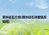 泗水砭石介紹(泗水砭石詳細(xì)情況如何)