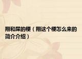 翔和屎的梗（翔這個(gè)梗怎么來的簡介介紹）