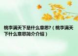 桃李滿天下是什么意思?（桃李滿天下什么意思簡(jiǎn)介介紹）