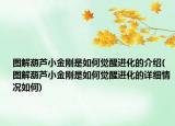 圖解葫蘆小金剛是如何覺醒進(jìn)化的介紹(圖解葫蘆小金剛是如何覺醒進(jìn)化的詳細(xì)情況如何)