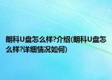 朗科U盤怎么樣?介紹(朗科U盤怎么樣?詳細(xì)情況如何)