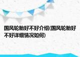 國風輪胎好不好介紹(國風輪胎好不好詳細情況如何)