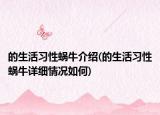 的生活習(xí)性蝸牛介紹(的生活習(xí)性蝸牛詳細(xì)情況如何)