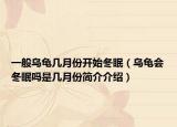 一般烏龜幾月份開始冬眠（烏龜會冬眠嗎是幾月份簡介介紹）