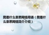 爬是什么意思網(wǎng)絡(luò)用語(yǔ)（爬是什么意思網(wǎng)絡(luò)簡(jiǎn)介介紹）