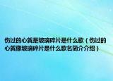 傷過的心就是玻璃碎片是什么歌（傷過的心就像玻璃碎片是什么歌名簡(jiǎn)介介紹）