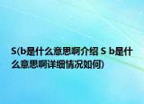 S(b是什么意思啊介紹 S b是什么意思啊詳細情況如何)