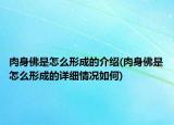 肉身佛是怎么形成的介紹(肉身佛是怎么形成的詳細情況如何)