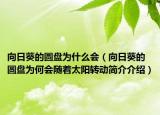向日葵的圓盤(pán)為什么會(huì)（向日葵的圓盤(pán)為何會(huì)隨著太陽(yáng)轉(zhuǎn)動(dòng)簡(jiǎn)介介紹）