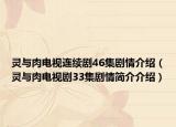 靈與肉電視連續(xù)劇46集劇情介紹（靈與肉電視劇33集劇情簡(jiǎn)介介紹）