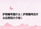 護(hù)照編號是什么（護(hù)照編號在什么位置簡介介紹）
