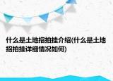 什么是土地招拍掛介紹(什么是土地招拍掛詳細情況如何)