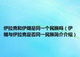 伊拉克和伊朗是同一個(gè)民族嗎（伊朗與伊拉克是否同一民族簡(jiǎn)介介紹）