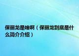 保麗龍是啥?。ū｛慅埖降资鞘裁春?jiǎn)介介紹）