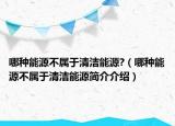 哪種能源不屬于清潔能源?（哪種能源不屬于清潔能源簡(jiǎn)介介紹）