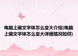 電腦上藏文字體怎么變大介紹(電腦上藏文字體怎么變大詳細情況如何)