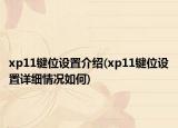 xp11鍵位設(shè)置介紹(xp11鍵位設(shè)置詳細情況如何)