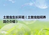 土鱉蟲生長環(huán)境（土鱉蟲如何養(yǎng)簡介介紹）