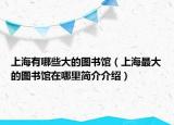 上海有哪些大的圖書館（上海最大的圖書館在哪里簡介介紹）
