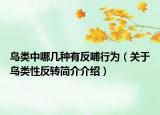 鳥類中哪幾種有反哺行為（關于鳥類性反轉簡介介紹）