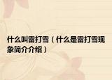 什么叫雷打雪（什么是雷打雪現(xiàn)象簡介介紹）