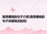 我想借錢的句子介紹(我想借錢的句子詳細情況如何)