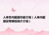 人體各內(nèi)臟器功能介紹（人體內(nèi)臟器官有哪些簡介介紹）