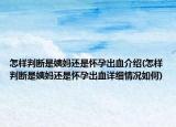 怎樣判斷是姨媽還是懷孕出血介紹(怎樣判斷是姨媽還是懷孕出血詳細情況如何)
