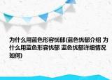 為什么用藍色形容憂郁(藍色憂郁介紹 為什么用藍色形容憂郁 藍色憂郁詳細情況如何)