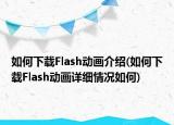 如何下載Flash動畫介紹(如何下載Flash動畫詳細情況如何)