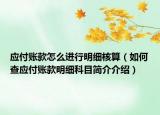 應(yīng)付賬款怎么進(jìn)行明細(xì)核算（如何查應(yīng)付賬款明細(xì)科目簡(jiǎn)介介紹）