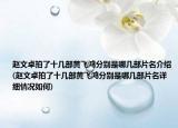 趙文卓拍了十幾部黃飛鴻分別是哪幾部片名介紹(趙文卓拍了十幾部黃飛鴻分別是哪幾部片名詳細情況如何)