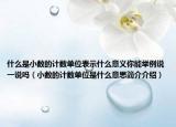什么是小數(shù)的計(jì)數(shù)單位表示什么意義你能舉例說一說嗎（小數(shù)的計(jì)數(shù)單位是什么意思簡介介紹）