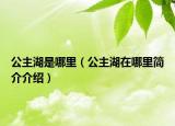 公主湖是哪里（公主湖在哪里簡介介紹）